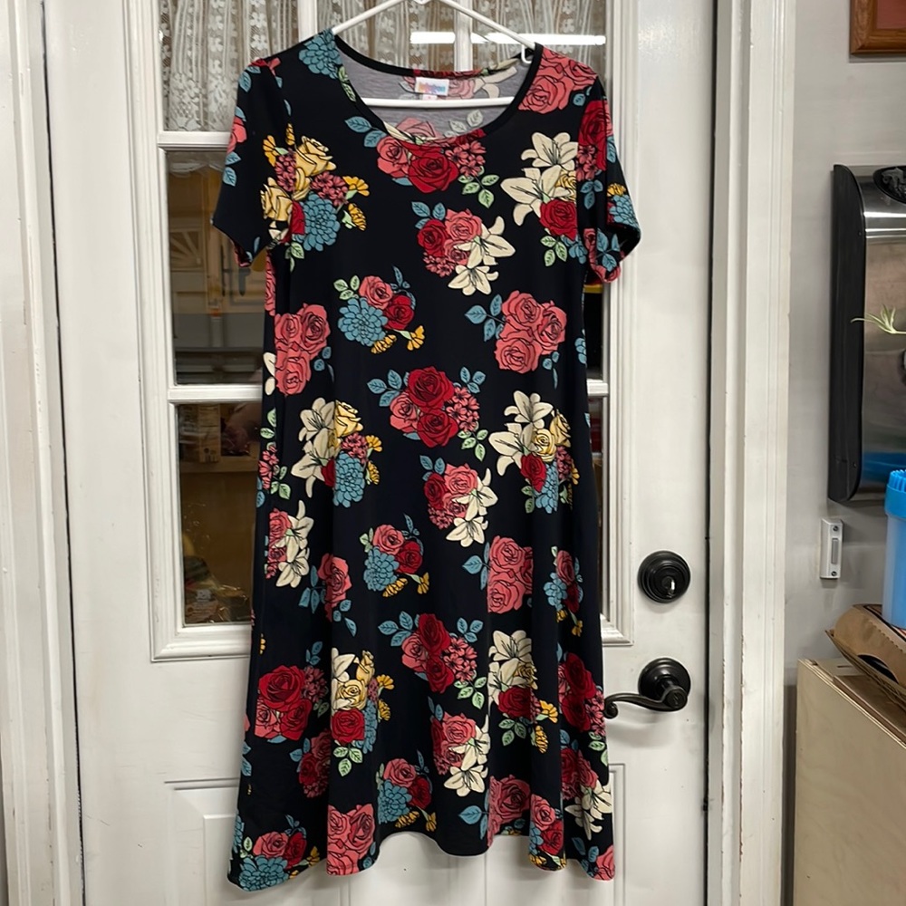 LuLaRoe Jessie swing dress. Size Small